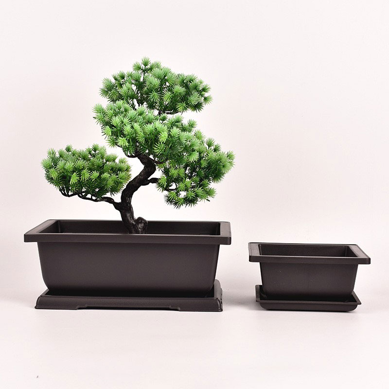 Rechthoekige Bonsai Pot